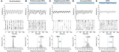 Effect of Stimulation Waveform on the Non-linear Entrainment of Cortical Alpha Oscillations